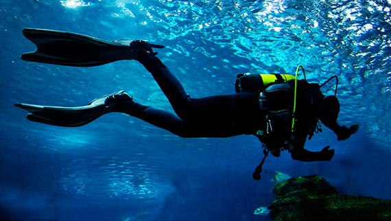Scuba Diving Full-Day Boat Tour