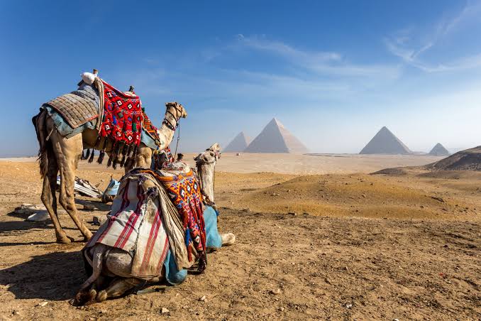Cairo Day Tour